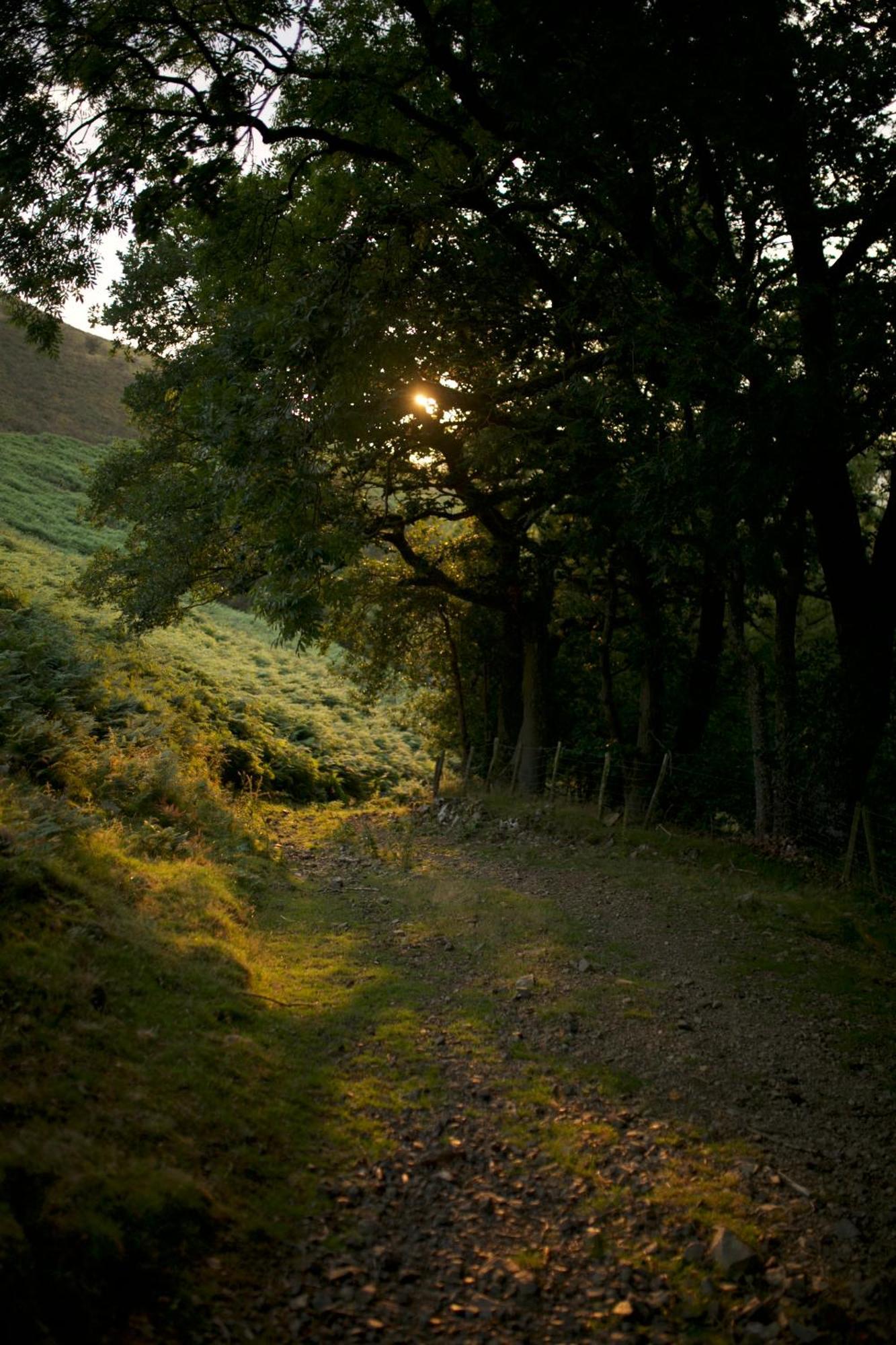 Two Unique Cabins Wrapped In Beautiful Welsh Scenery Presteigne Экстерьер фото