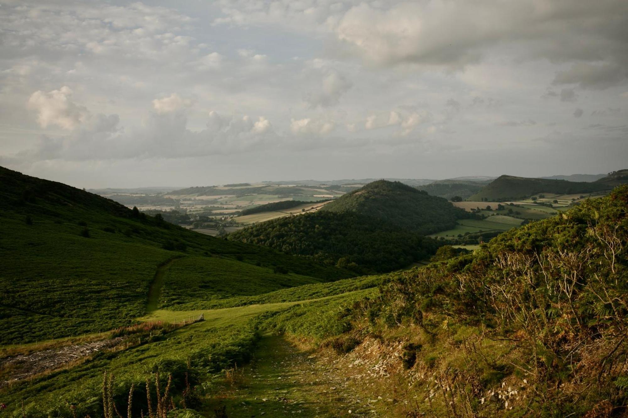Two Unique Cabins Wrapped In Beautiful Welsh Scenery Presteigne Экстерьер фото